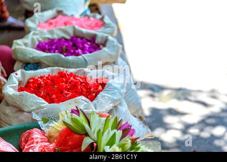 Grands sacs en coton de pétales de fleurs pour la préparation de Canang sari à Bali Indonésie. Les offrandes de fleurs sont faites sur les marchés et vendues au public, ils Banque D'Images