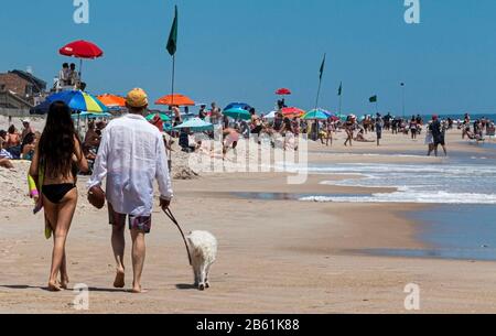 Ocean Beach, New York, États-Unis - 27 mai 2019: Les gens qui profitent d'une journée sur la plage à Ocean Beach sur Fire Island, marchant leur chien, jouant dans l'eau an Banque D'Images