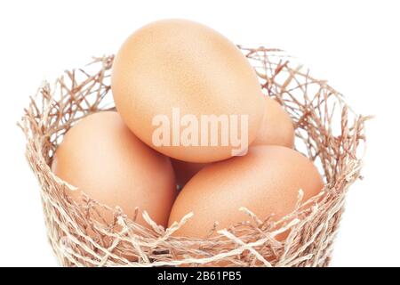 Nid de poulet et un groupe d'œufs de Pâques. Sur fond blanc. Banque D'Images