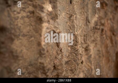 Détail défocé de la texture de surface d'une pierre en marbre vierge Banque D'Images