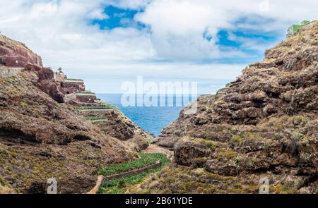 Plantations de bananes en terrasse près de Los sauces dans le nord-est de la Palma, îles Canaries, Espagne Banque D'Images