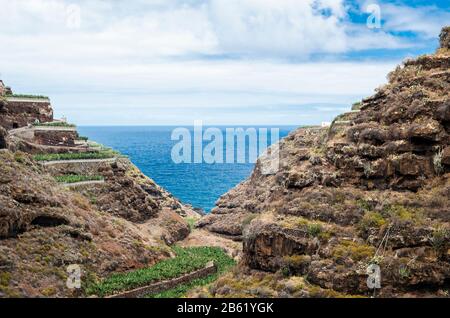 Plantations de bananes en terrasse près de Los sauces dans le nord-est de la Palma, îles Canaries, Espagne Banque D'Images