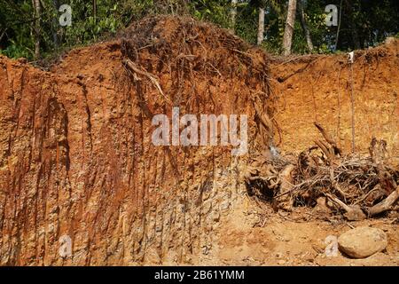 Déforestation proche des racines, rochers montrant en plein soleil. Roches rouges et jaunes où le sol a été creusé de forêt à l'aide d'une pelle hydraulique dans les constructions Banque D'Images