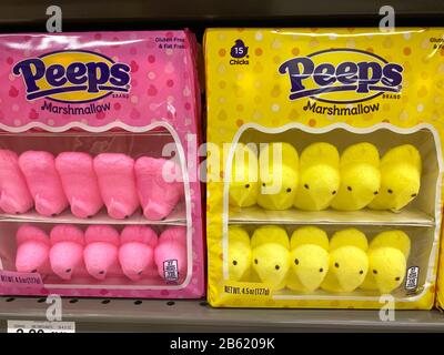 Orlando,FL/USA-3/7/20: Les poussins de guimauve de Peeps et l'allée de bonbons de pâques d'un magasin d'alimentation de Publix attendant que les clients achètent pour les enfants Banque D'Images