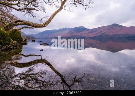 Derwent Water, Borrowdale en soirée calme, Lake District National Park, Cumbria, Royaume-Uni Banque D'Images