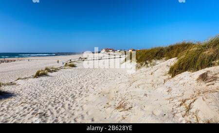 Wooden path à Costa Nova d'Aveiro, Portugal, sur des dunes avec vue sur l'océan, soir d'été. Passerelle en bois de Costa Nova beach dans une journée ensoleillée. Un Banque D'Images