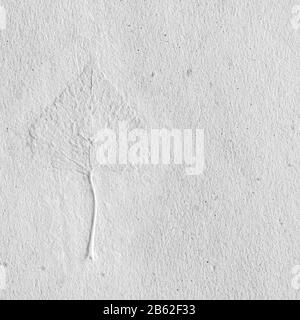 Une feuille à l'intérieur d'une feuille de papier maison Banque D'Images