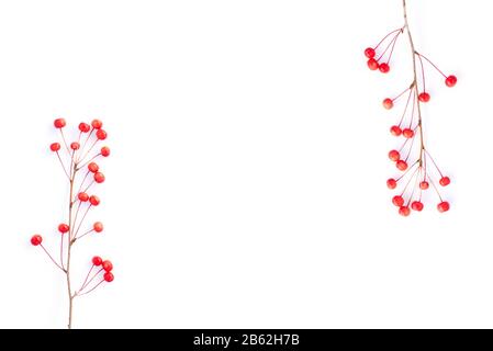 Petites pommes rouges sur fond blanc. Deux branches avec pommes avec espace de copie Banque D'Images