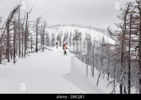 Femme isolée se déplaçant sur les cieux de randonnée le long du plateau couvert de neige haut sur la zone alpine Banque D'Images