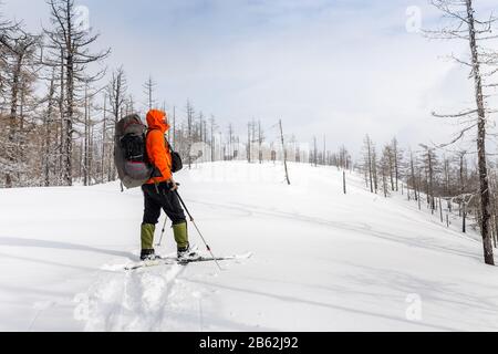 Femme isolée se déplaçant sur les cieux de randonnée le long du plateau couvert de neige haut sur la zone alpine Banque D'Images