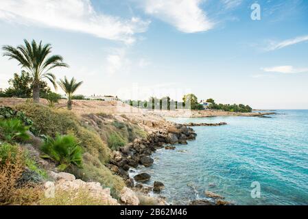Chypre. Paysage Pittoresque Méditerranéen Avec Palmiers. Mer et ciel bleu avec nuages. Banque D'Images