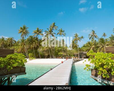 Île tropicale avec palmiers et jetée en bois dans l'océan Indien aux Maldives. Journée Ensoleillée. Plage tropicale avec des bungalows sur l'eau aux Maldives. Banque D'Images