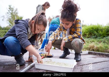 Deux Filles Sur Le Camp D'Activités En Plein Air Étudiant La Vie De L'Étang Trouvée Dans Les Mauvaises Herbes Banque D'Images