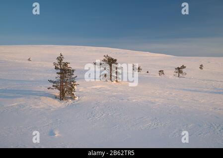 Scène À Pallastunturi, Muonio, Finlande Banque D'Images