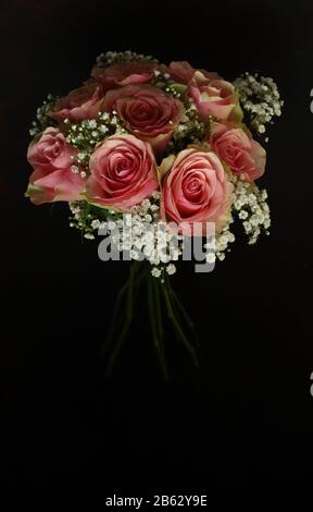 Bouquet de roses roses isolées sur fond sombre. Gros Plan. Banque D'Images