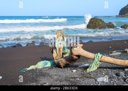 Un vieux arbre sur la plage avec des filets de pêche dessus. Île de Madère, Portugal Banque D'Images