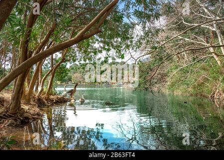 Lac de Zaros au printemps, Crète, Grèce. Banque D'Images