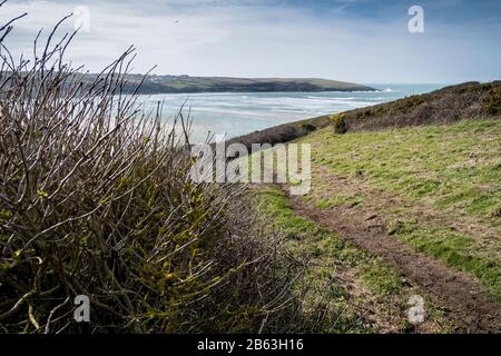 Un sentier de randonnée à travers Pentist point East donnant sur Crantock Beach à Newquay, dans Cornwall. Banque D'Images