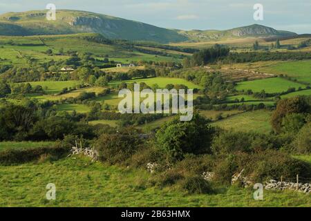 Campagne Vallonnée De Calry, Comté De Sligo, Irlande Banque D'Images