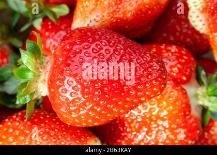 fraise sur fraises Banque D'Images