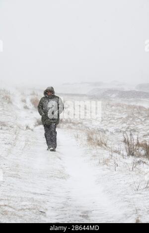 Homme marchant dans une tempête de neige pendant la tempête Jorge à côté de la route entre leadhills et wanlockhead. Février 2020. Frontières écossaises, Écosse Banque D'Images