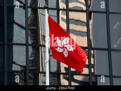 Hong Kong, Chine : 29 Janvier 2020. Le drapeau de Hong Kong vole dans le quartier des affaires du centre de Hong Kong. Le design est basé sur la fleur de Bauhinia également Banque D'Images