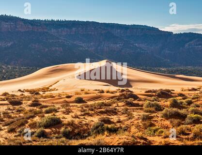 Randonneurs dans les dunes à distance, Moquith Mountains derrière, Coral Pink Sand Dunes State Park, Utah, États-Unis Banque D'Images