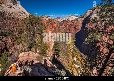 Angels Landing Trail, ascension finale, Zion Canyon ci-dessous, Zion National Park, Utah, États-Unis Banque D'Images