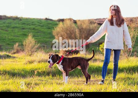 Jeune femme avec un Jean et un chien de marche en jersey blanc sur le terrain Banque D'Images