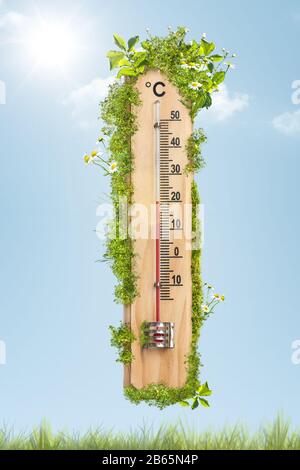 Temps de printemps - thermomètre surcultivé avec des feuilles et des fleurs Banque D'Images
