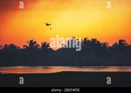 Hélicoptère survolant la forêt brûlante de palmiers, silhouettes au coucher du soleil. Banque D'Images