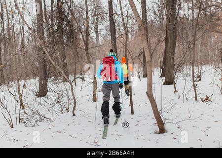 les skieurs de fond de groupe avec des sacs à dos marchant et de l'exercice dans la forêt d'hiver Banque D'Images