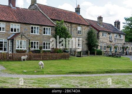 Hutton-le-Hole est un petit village traditionnel en pierre du Yorkshire avec des moutons en liberté. Le village est populaire auprès des touristes dans le Nord de York Banque D'Images