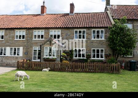 Hutton-le-Hole est un petit village traditionnel de Yorkshire Stone avec des moutons roaming libre de pâturage. Le village est populaire auprès des touristes dans le nord de York Banque D'Images