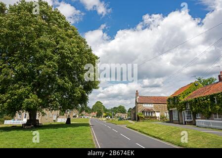 Hutton-le-Hole est un petit village traditionnel de Yorkshire Stone avec des moutons roaming libre de pâturage. Le village est populaire auprès des touristes dans le nord de York Banque D'Images