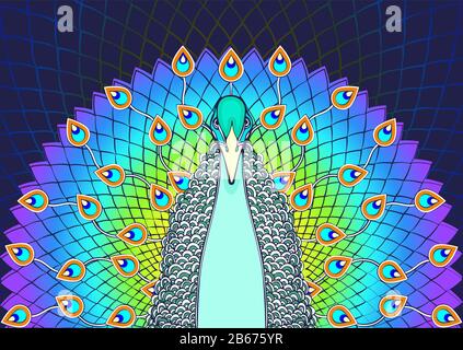 Peacock avec queue fluide dessin animé coloré, vue avant. Magnifique oiseau multicolore avec grande queue arc-en-ciel ouverte avec plumes lumineuses paon, iso Illustration de Vecteur