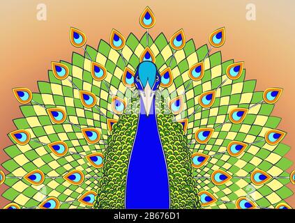 Paon à queue colorée et imprimé graphique. Magnifique oiseau vert bleu avec grande queue ouverte avec plumes lumineuses paon, isolé Illustration de Vecteur