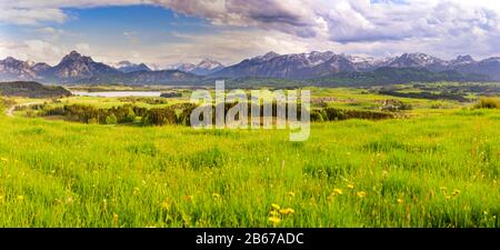 Panorama Landschaft im Allgäu vor den Bergen Banque D'Images