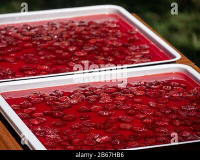 La confiture de fraises se fait sous le soleil. Confiture séchée traditionnelle avec des lampes solaires. Banque D'Images