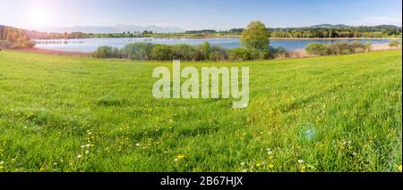 Panorama Landschaft im Allgäu vor den Bergen Banque D'Images