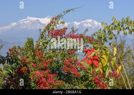 Vue sur la gamme Himalaya sur Pokhara au Népal Banque D'Images