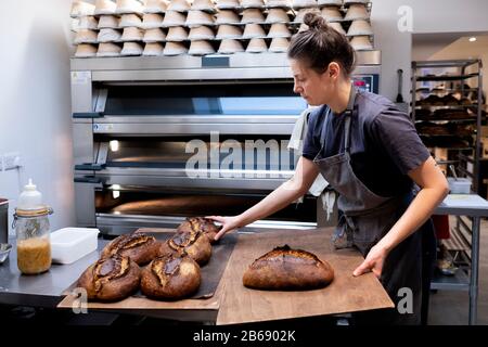 Femme portant un tablier debout dans une boulangerie artisanale, plaçant des pains fraîchement cuits sur du bois. Banque D'Images