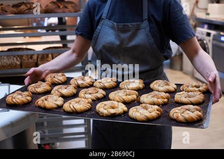 Gros plan de personne tenant un plateau avec des petits pains à la cannelle fraîchement cuits dans une boulangerie artisanale. Banque D'Images