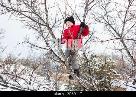 Un garçon de six ans dans une veste rouge qui monte un arbre en hiver Banque D'Images