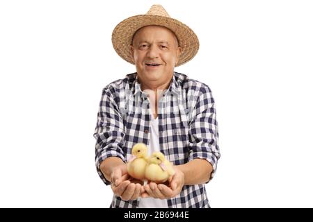 Agriculteur mûr tenant deux petites gaines isolées sur fond blanc Banque D'Images