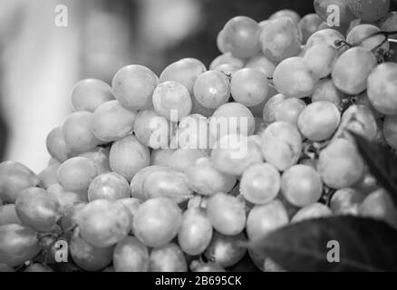 fruits frais rapprochés sur le marché italien Banque D'Images