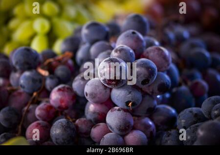 fruits frais rapprochés sur le marché italien Banque D'Images