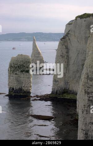 En regardant vers le sud de Handfast point vers Peveril point dans la distance; au premier plan sont les Pinnacles connus sous le nom de Haystack, Little P Banque D'Images