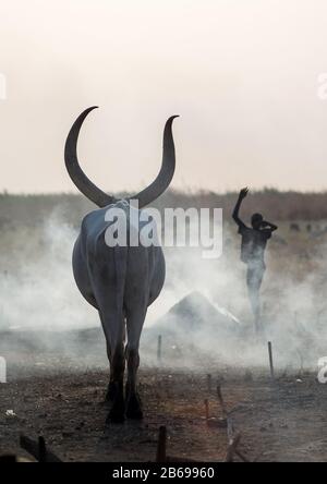 Un garçon de la tribu Mundari imite la position des cornes de vache, son favori, l'Équatoria central Terekeka, au Soudan du Sud Banque D'Images