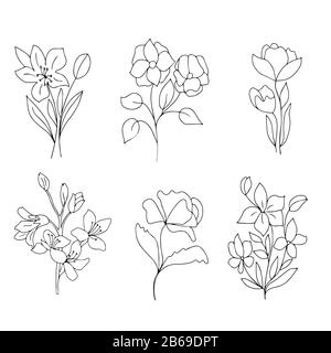 Ensemble de fleurs dans un style linéaire, graphiques vectoriels sur un fond blanc. Pour la conception de couvertures pour téléphones, papier d'emballage, livres de coloriage et imprimés sur Illustration de Vecteur